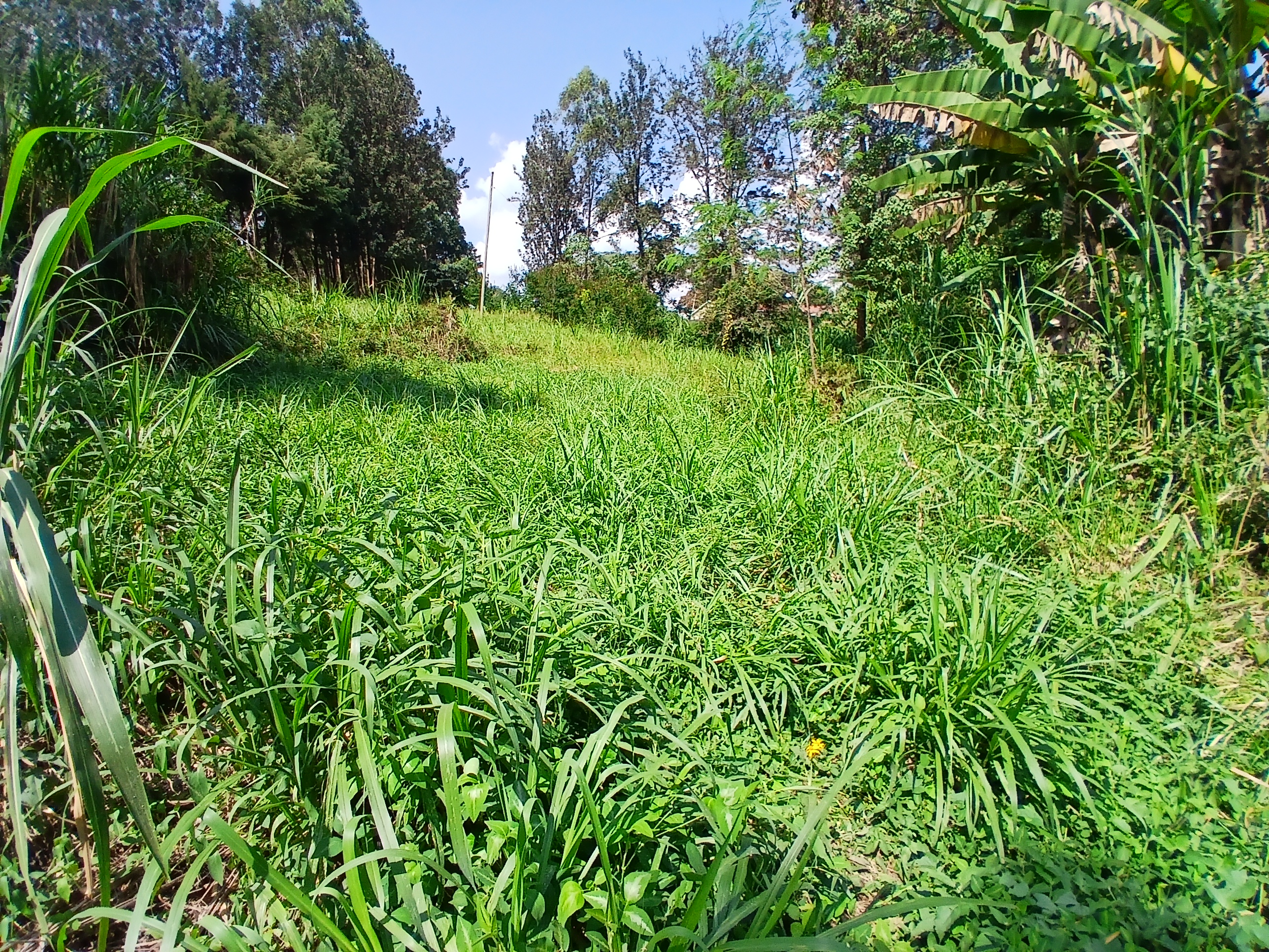 Dairy Farming 2