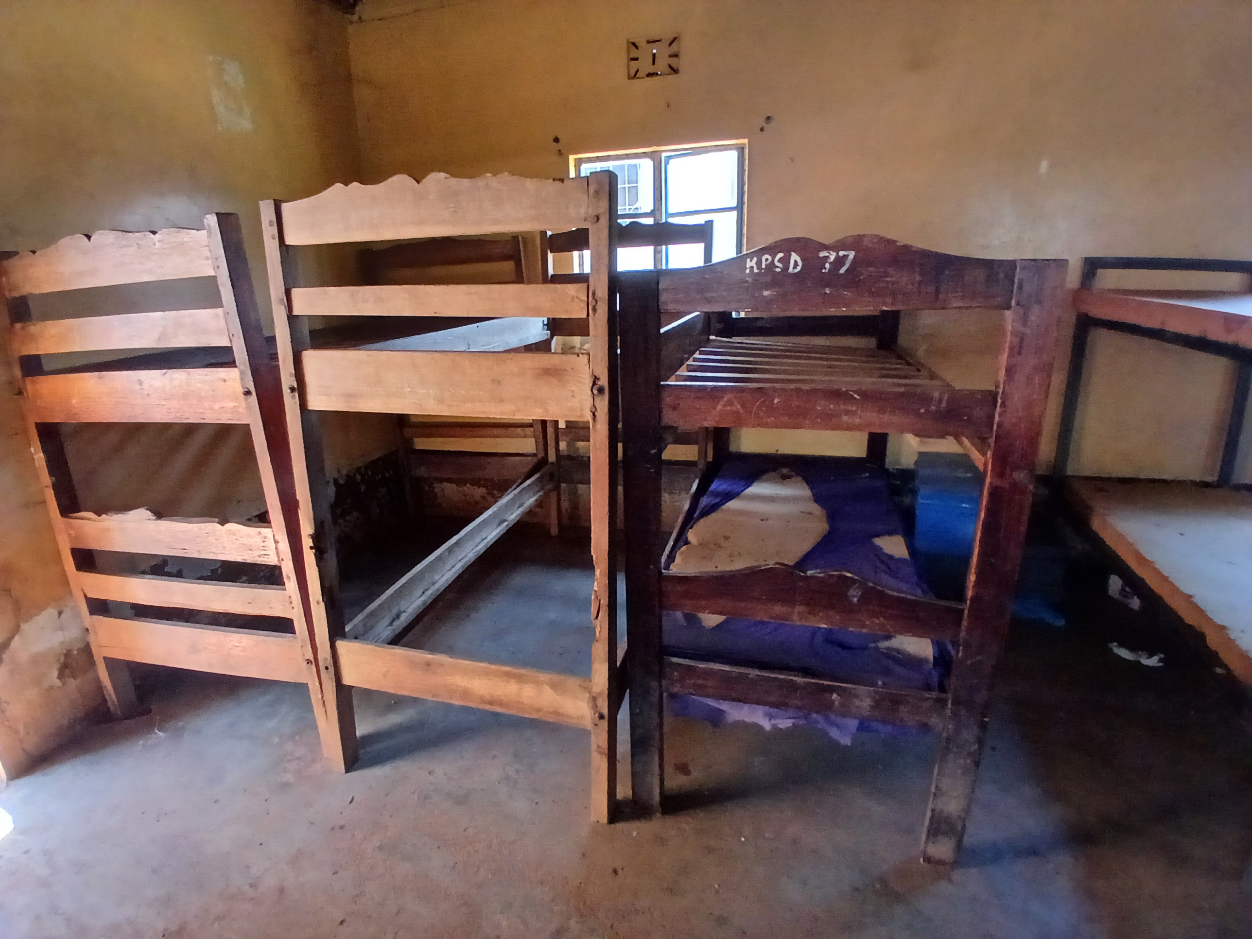 Timber Beds with Bed Bugs