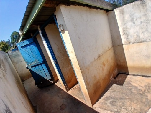 Toilet renovation needed