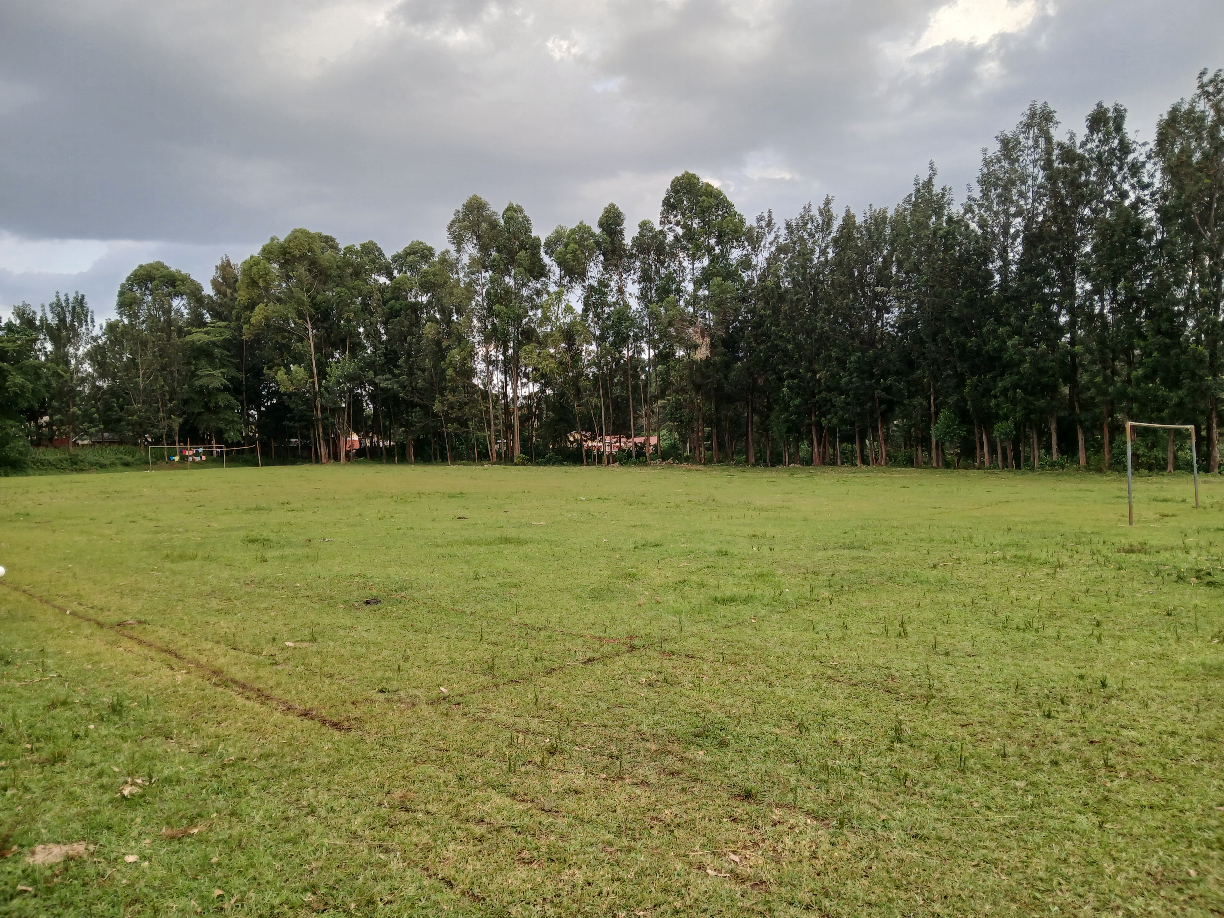 Sports Field